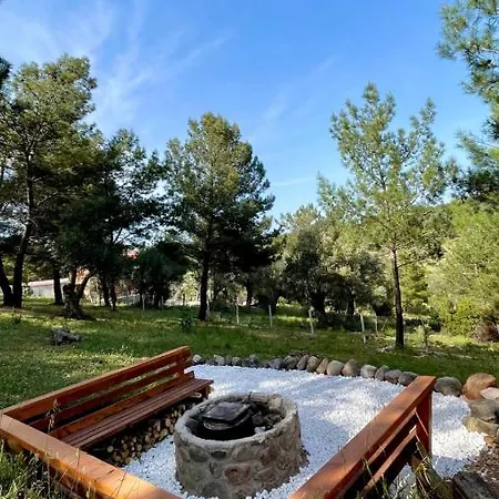 Panurlawoodenhouse Oezel Havuz& Sauna Mavi *
