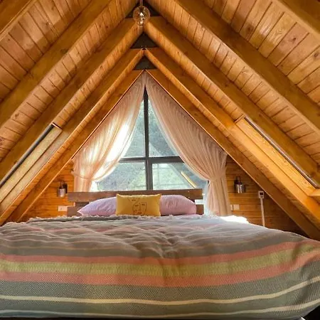 Panurlawoodenhouse Oezel Havuz& Sauna Mavi Chalet *