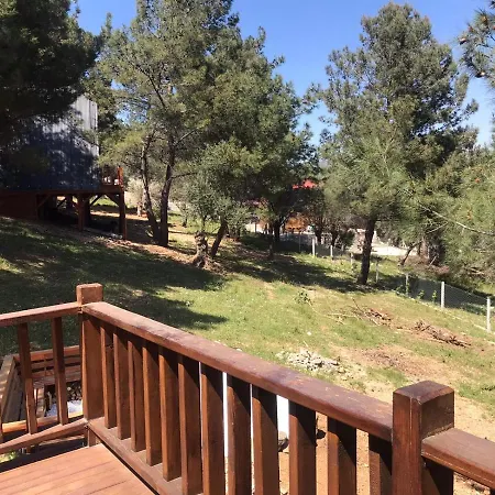Panurlawoodenhouse Oezel Havuz& Sauna Mavi Chalet *