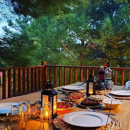 Chalet Panurlawoodenhouse Oezel Havuz& Sauna Mavi