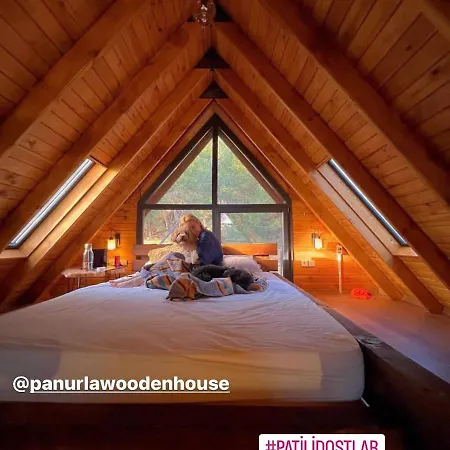 Panurlawoodenhouse Oezel Havuz& Sauna Mavi Chalet