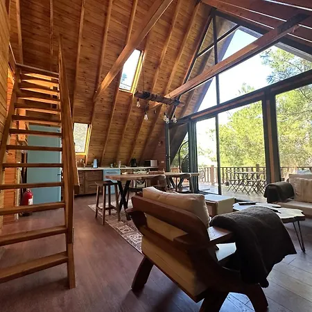 Chalet Panurlawoodenhouse Oezel Havuz& Sauna Mavi Urla