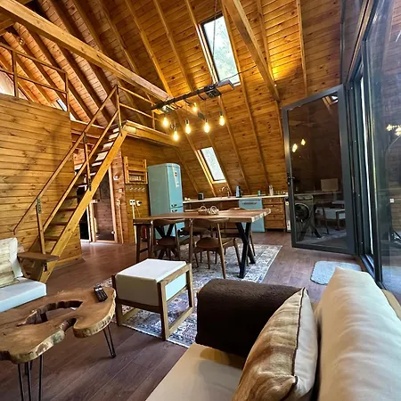 Chalet Panurlawoodenhouse Oezel Havuz& Sauna Mavi