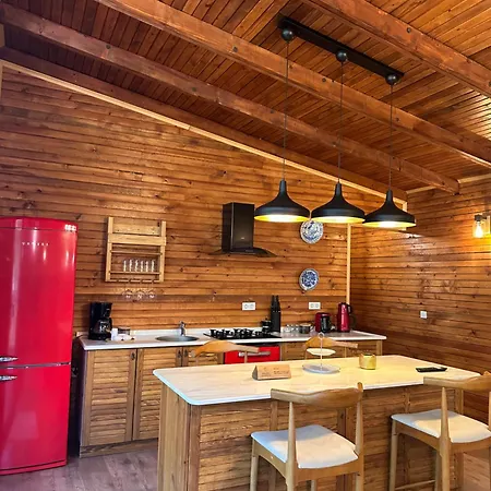 Chalet Panurlawoodenhouse Oezel Havuz& Sauna Mavi Urla