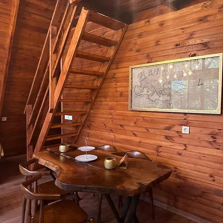 Panurlawoodenhouse Oezel Havuz& Sauna Mavi Chalet *