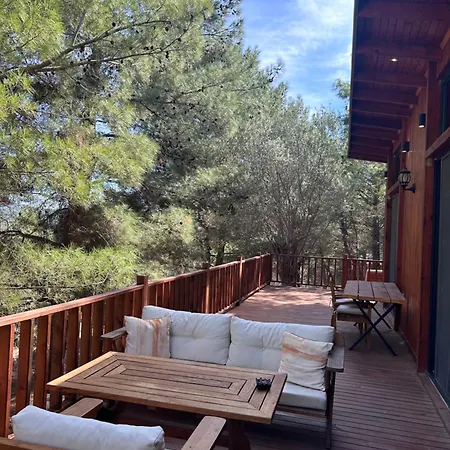 Chalet Panurlawoodenhouse Oezel Havuz& Sauna Mavi *