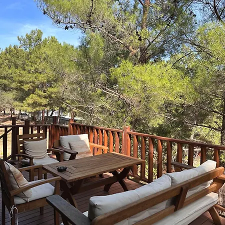 Panurlawoodenhouse Oezel Havuz& Sauna Mavi Chalet *