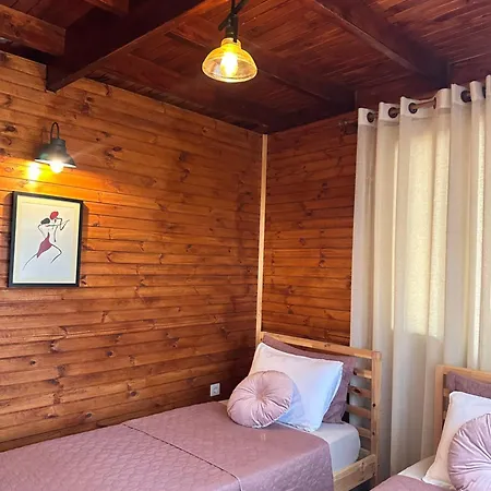 Panurlawoodenhouse Oezel Havuz& Sauna Mavi * Urla