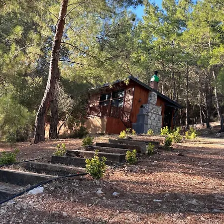 Panurlawoodenhouse Oezel Havuz& Sauna Mavi Chalet Urla