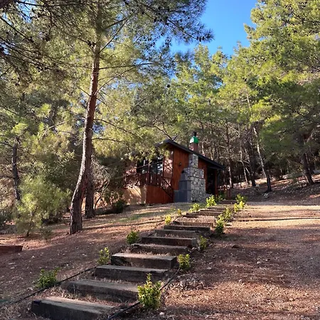 Panurlawoodenhouse Oezel Havuz& Sauna Mavi Urla