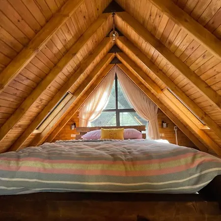 Panurlawoodenhouse Oezel Havuz& Sauna Mavi Dağ evi *