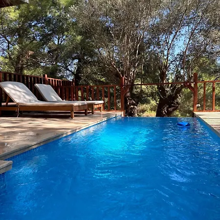Dağ evi Panurlawoodenhouse Oezel Havuz& Sauna Mavi