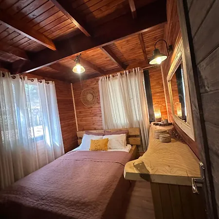 Panurlawoodenhouse Oezel Havuz& Sauna Mavi Dağ evi Urla