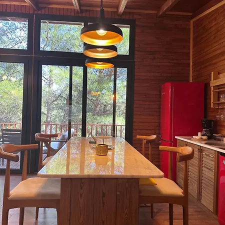 Panurlawoodenhouse Oezel Havuz& Sauna Mavi * Urla