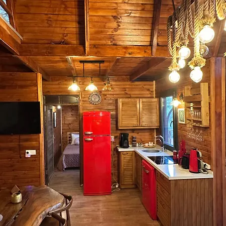 Panurlawoodenhouse Oezel Havuz& Sauna Mavi Dağ evi