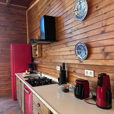 Panurlawoodenhouse Oezel Havuz& Sauna Mavi *