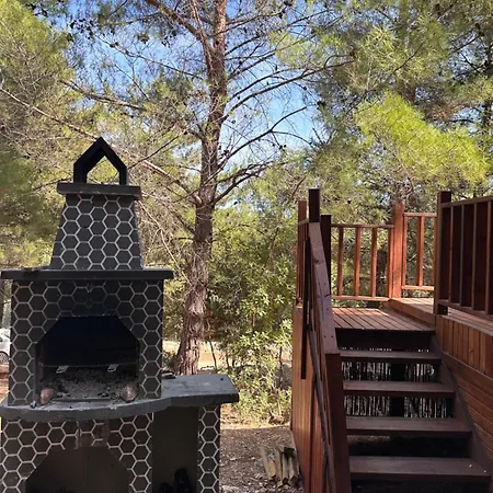 Panurlawoodenhouse Oezel Havuz& Sauna Mavi Urla